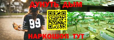 ПСИЛОЦИБИНОВЫЕ ГРИБЫ Балахна