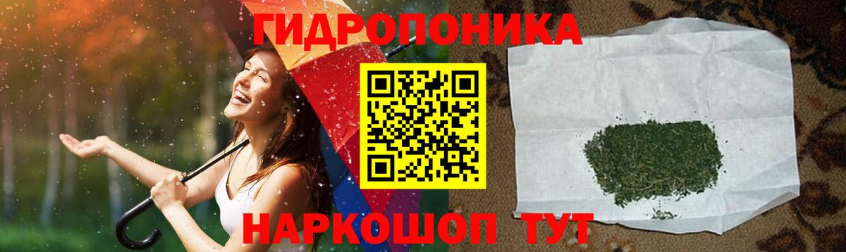 Канабис гибрид Волжский